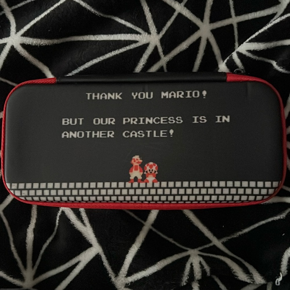 Used Nintendo Switch case